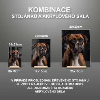 Boxer realistic