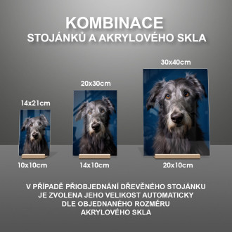 Skotský deerhound realistic
