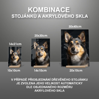 Švédský Vallhund realistic