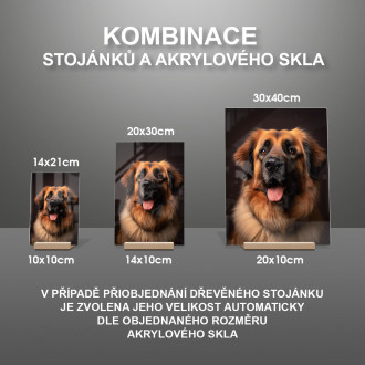 Leonberger realistic