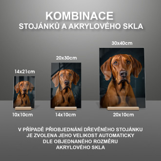 Redbone Coonhound realistic