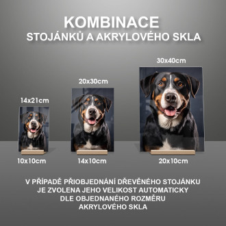 Velký švýcarský salašnický pes realistic