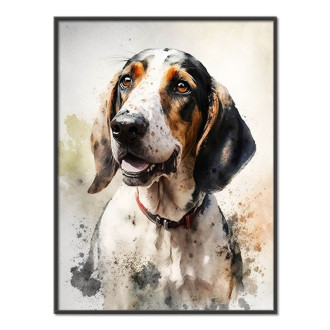 Americký anglický coonhound akvarel