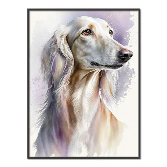 Saluki akvarel