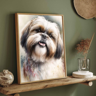 Shih Tzu akvarel