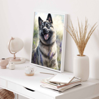 Norský elkhound akvarel