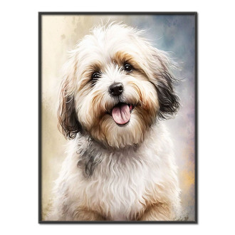 Havanese akvarel