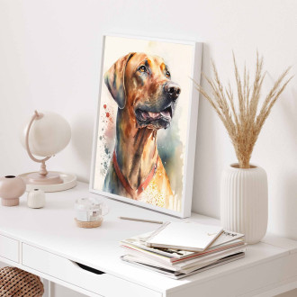 Rhodéský ridgeback akvarel