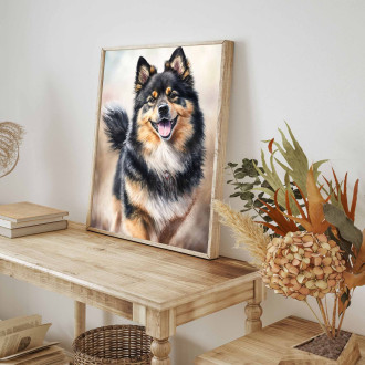 Finský Lapphund akvarel
