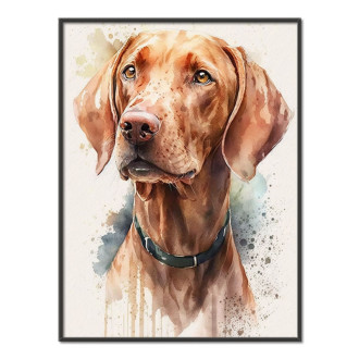 Vizsla akvarel