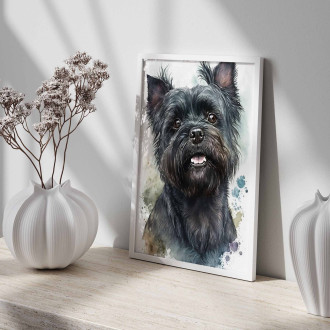 Affenpinscher pes akvarel