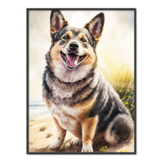 Švédský Vallhund akvarel