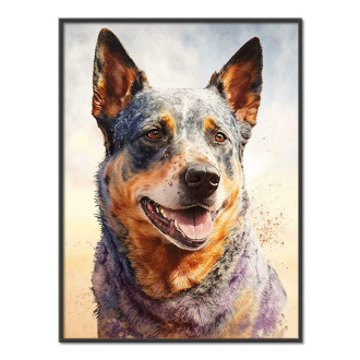 Australský honácký pes akvarel