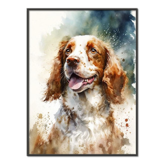 Welsh Springer Spaniel akvarel