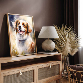 Holandský Kooikerhondje akvarel