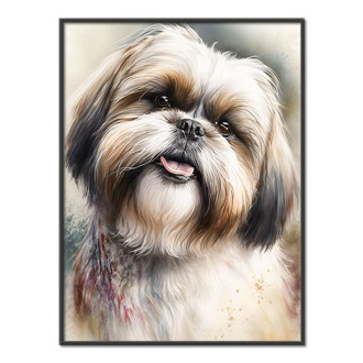 Shih Tzu akvarel