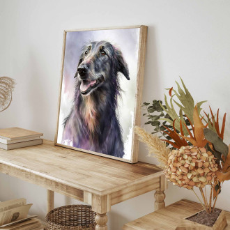 Skotský deerhound akvarel