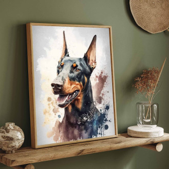 Doberman Pinscher akvarel