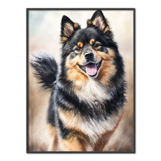 Finský Lapphund akvarel