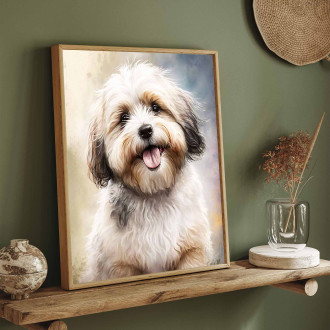 Havanese akvarel