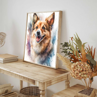 Norský Lundehund akvarel