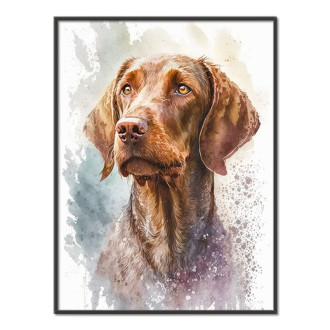 Wirehaired Vizsla akvarel