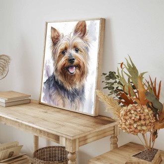 Silky Terrier akvarel