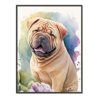 Čínský Shar-Pei akvarel