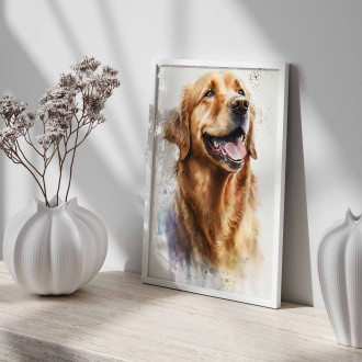 Zlatý retriever akvarel