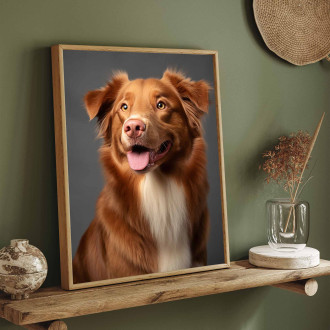 Nova Scotia Duck Toll Retriever realistic