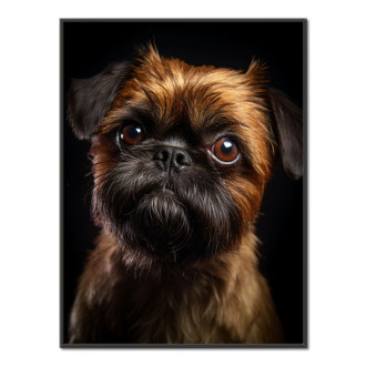 Brussels Griffon realistic