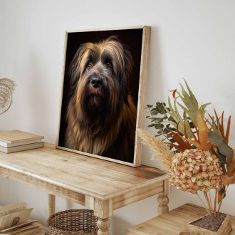 Briard realistic