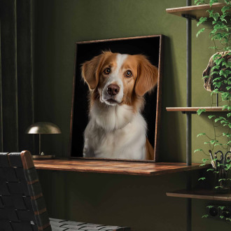 Holandský Kooikerhondje realistic