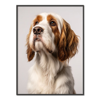 Petit Basset Griffon Vendéen realistic