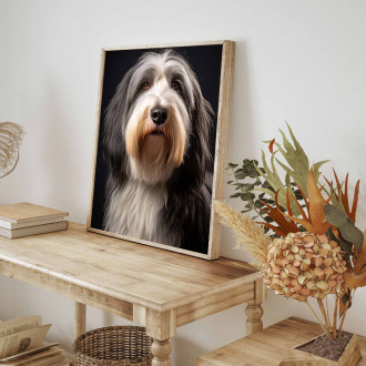 Bearded kolie realistic