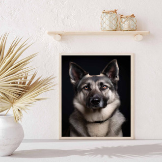 Norský elkhound realistic