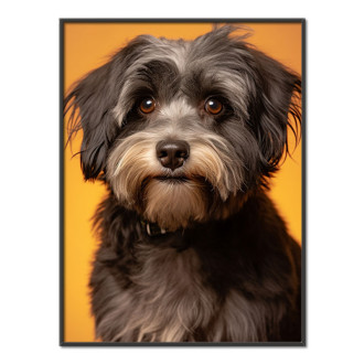 Havanese realistic