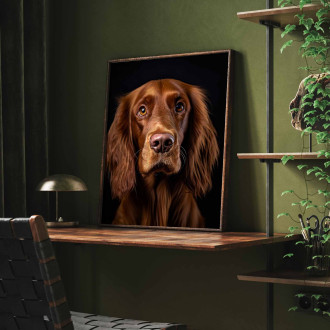 Irský setr realistic