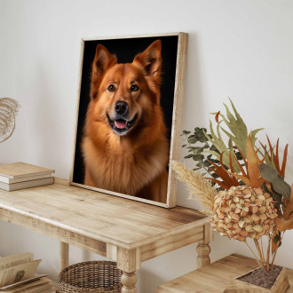 Finský špic realistic