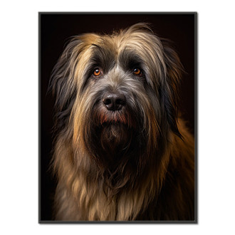 Briard realistic