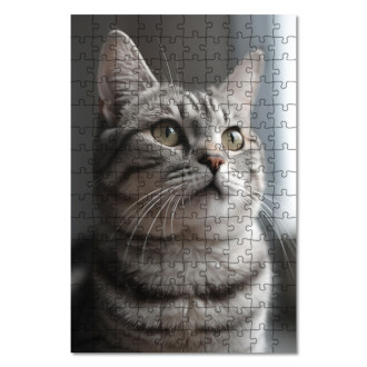 Dřevěné puzzle Americká krátkosrstá kočka realistic