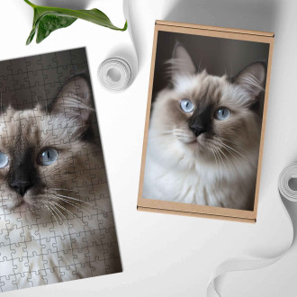 Dřevěné puzzle Ragdoll kočka realistic