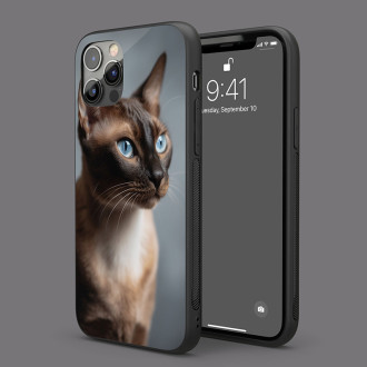 Orientální kočka realistic