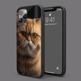 Exotická krátkosrstá kočka realistic