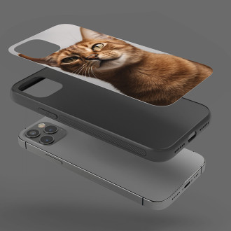 Habešská kočka realistic