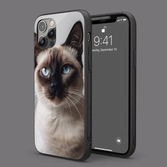 Siamská kočka realistic