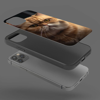 Exotická krátkosrstá kočka realistic