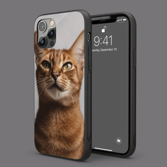 Habešská kočka realistic