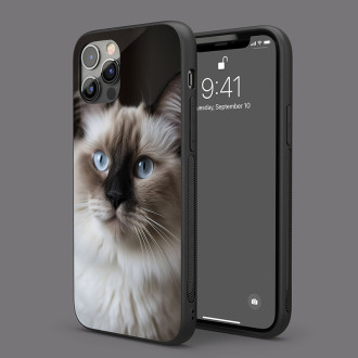 Ragdoll kočka realistic