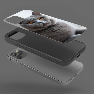 Britská krátkosrstá kočka realistic